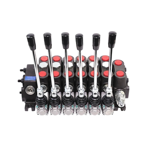 Válvula de Control Direccional Seccional Hidráulica Manual DCV100 DCV120 DCV160 DCV200 |   Fabricante Directo de Fábrica y OEM/ODM - Product Image 3