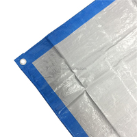Poulailler laminé HDPE capacité 5000 poulets tente de poulet en tissu Transparent extérieur grande bâche PE vente chaude