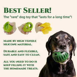 Squeaky ses ile çevre dostu tasarımcı köpek çiğneme oyuncakları kemik şekli interaktif silikon <span class=keywords><strong>Pet</strong></span> oyuncaklar - Product Image 4