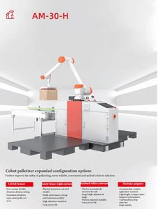 Robot palettiseur de sacs en acier inoxydable et aluminium, capacité de charge de 30 kg, pince de palettisation, rayon d'action de 1600 mm, vitesse de 7 pièces/min pour sacs et boîtes - Product Image 5