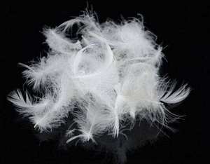 Plumes de <span class=keywords><strong>canard</strong></span> blanches, prix usine, pour oreiller, haute puissance de rembourrage, lavées, <span class=keywords><strong>duvet</strong></span> de <span class=keywords><strong>canard</strong></span> et <span class=keywords><strong>d</strong></span>'<span class=keywords><strong>oie</strong></span> neuf - Product Image 1