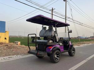 High Quality High Speed Golf Carts Sightseeing Car With Powerful <b>Motor</b> for Resort Hotel Scenic Area High Speed - Product Image 2