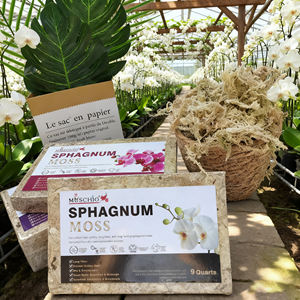 Musgo Sphagnum Ecológico Moderno Personalizado de Fábrica, Alta Absorción de Agua <span class=keywords><strong>para</strong></span> Macetas de Suculentas, <span class=keywords><strong>Cactus</strong></span>, Hábitat de Reptiles y Anfibios - Product Image 1