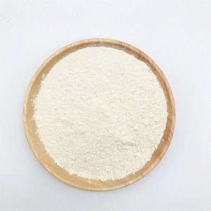 Polvo de Arroz Proteico Integral a Granel con Muestra Gratis - Product Image 4