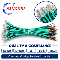 Câble Pigtail Électronique Personnalisé en Cuivre RJ12 6P6C vers Fil Nu, 23010mm, 6 Cœurs, Isolation PTFE/PVC/Nylon, pour Ordinateur, Conforme UL2464
