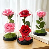 Cadeaux romantiques pour la Saint-Valentin, la remise des diplômes, les mariages, lampes décoratives à LED avec couvercle en verre pour intérieur/extérieur, ornements en forme de rose.