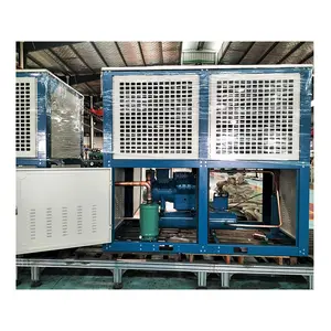 Nouvelle unité de condensation de congélateur de plain-pied avec les systèmes de réfrigération automatiques d'hôtel de moteur de compresseur économiseur d'énergie