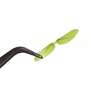 Nouvelles ailes de moustique artificielles réalistes OEM S-XXL en <span class=keywords><strong>film</strong></span> mince, matériaux pour la fabrication de mouches de pêche DIY - Product Image 2
