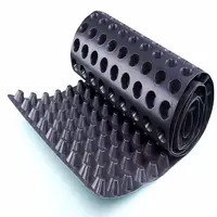 2.5 m * 30 m Roll Hoogte 10mm HDPE Drainage Board Vel