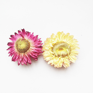 Thé de chrysanthème coloré à base de plantes de la meilleure qualité / Thé de fleur de paille séchée <span class=keywords><strong>Helichrysum</strong></span> <span class=keywords><strong>Bracteatum</strong></span>, Thé aromatisé - Product Image 3