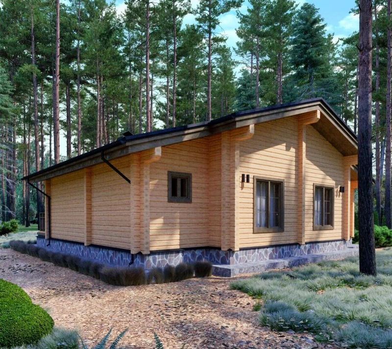 Tiny House Modern Prefab Modular Luxury