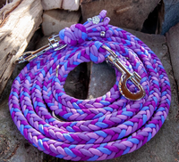Laisse pour chien en paracorde tressée, couleur violette, avec logo personnalisé, en nylon durable, pour animaleries et salons de toilettage