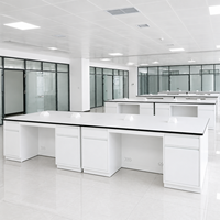 Mesa de Laboratorio Central de Acero Personalizada con Encimera de Resina Fenólica, Fregadero, Estante para Reactivos y Armarios de Almacenamiento para Laboratorios de Química
