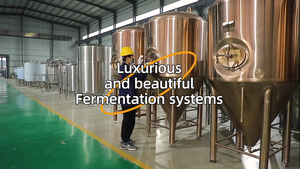 Tanques de Fermentación Isotérmicos de Acero Inoxidable de 600L, Recipientes para Fermentar Cerveza con Aislamiento de Alta Calidad Tonsen - Product Image 4