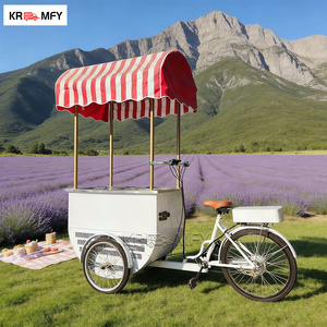 Chariot de vente ambulant pour gelato et crème glacée avec congélateur, en métal résistant à la rouille, pour utilisation en extérieur - Product Image 6
