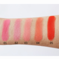 Maquillage de marque privée faites votre propre marque Fards à joues pour le visage poudre libre pour le visage longue durée