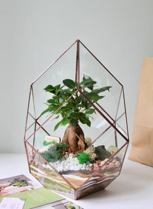 Khaleesi זכוכית terrarium תפאורה מינימליסטי סלון סיר מתנה לבית חדש או חג המולד עבור תפאורה לחג - Product Image 3