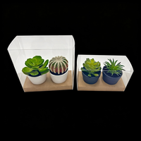 Boîte transparente réutilisable en PVC/PET écologique pour l'emballage de thé, aliments, bougies, plantes en pot et ornements, avec options de gaufrage personnalisables
