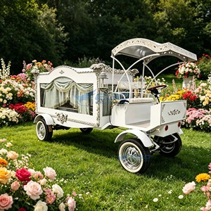 Carroza Fúnebre Eléctrica Retro de Estilo Europeo, Nueva, Plateada, para Venta - Product Image 2