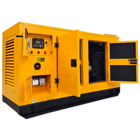 Groupe électrogène diesel silencieux insonorisé 100kW 200kW 300kW 400kW pour ferme porcine et avicole