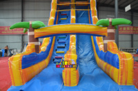 Glissière d'eau gonflable Girly de piscine de maison de videur de PVC commercial pour des enfants