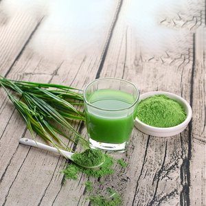 Poudre <span class=keywords><strong>d</strong></span>'extrait <span class=keywords><strong>d</strong></span>'herbe <span class=keywords><strong>d</strong></span>'<span class=keywords><strong>orge</strong></span> biologique de qualité alimentaire 100% OEM sous marque privée, emballée sous vide en fût - Product Image 2