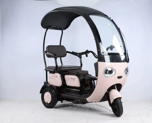 Tricycle Électrique <span class=keywords><strong>3</strong></span> <span class=keywords><strong>Roues</strong></span> 600W 800W 1000W le Plus Vendu pour le Transport de Passagers et la Livraison de Repas - Product Image 1