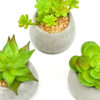 Plante en herbe artificielle en pot, Meilleure vente, Écologique, Moderne, Petite plante en herbe synthétique en pot de ciment