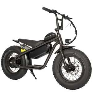 36V 250W 16 Inches Fat Tire Electric Motorcycle Designed For Children Child Motor Bike