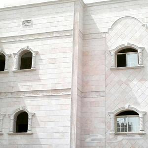 Revêtement mural extérieur en pierre naturelle Pierre de culture pour murs extérieurs Revêtement très vendu Nouvelle collection Taille personnalisée - Product Image 1