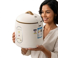 Mini-cuiseur à riz électrique en acier inoxydable 1-2 litres, faible consommation 220V, 2L pour dortoir et usage domestique, 1-2 personnes, cadeau, vente en gros