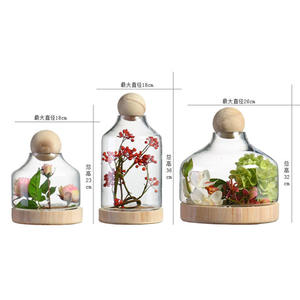 Fermoir en verre Borosilicate transparent avec couvercle en boule, peut se porter sur la Base en bois et au couvercle de boule - Product Image 6