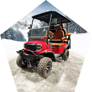 Old Brands Design Cute Batería eléctrica Lithium Street Legal Mini carrito de golf para adultos - Product Image 6