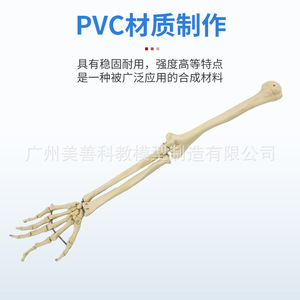 11 - Product Image 4