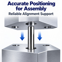 Goupille de centrage sur mesure pour un alignement précis en acier trempé, avec options de goupille parallèle ou cylindrique pour le moulage d'outillage