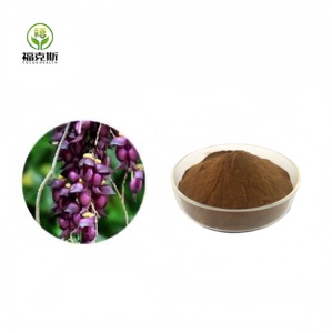 Best Selling Water Soluble 10:1 Viscum Coloratum Mistletoe <strong>Extract</strong> <strong>Mucuna</strong> <strong>Pruriens</strong> Cowhage <strong>Powder</strong> - Product Image 1