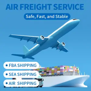 Fedexドアツードアサービス最高の航空輸送料金米国への海上輸送