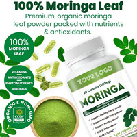Suppléments à base de plantes Capsules de Moringa 500 MG Soutenir le système immunitaire et le métabolisme Capsules de feuilles de Moringa Superfood vert