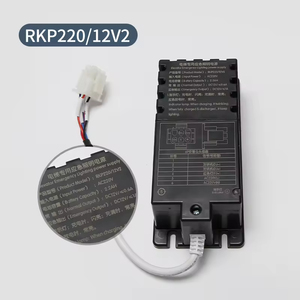 Alimentation électrique d'ascenseur de haute qualité RKP220-12V2, alimentation de secours pour ascenseur, éclairage et système d'alarme - Product Image 1