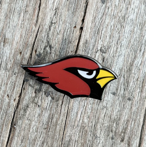 Offres Spéciales : Épingles en Métal des 32 Équipes de Football Américain des Buccaneers de Tampa Bay – Broches et Badges de Rugby, Accessoires - Product Image 4
