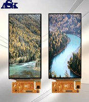 Konsol Gaming Kontrol Sentuh Industri ASK 6.01-inci AMOLED Resolusi 1080*2160 dengan Antarmuka QSPI