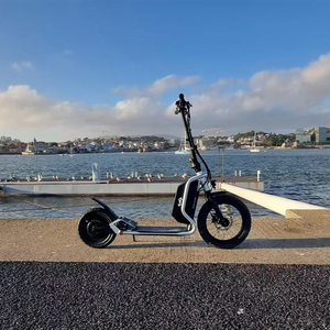 Nouveauté KRUSADE Escape-kick Bike Scooter, pneus larges, 45 km/h, 18,2 Ah, 48 V, 800 W, scooter rapide pour adultes - Product Image 2