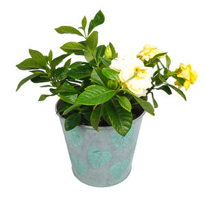 Pot de fleurs en fer et métal style campagnard américain, décoration de jardin, relief de pots anciens, poterie rouge, seau - Product Image 4