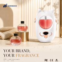 Diffuser Hidrasi Udara Desktop dengan Reservoir Visual, LED Multiwarna, Timer, untuk Ruang Kerja Kantor, Grosir, Produsen OEM