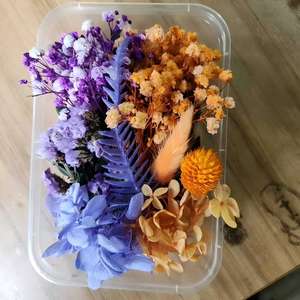 Kit de fleurs séchées vertes fraîches, feuillage et fleurs préservés en boîte pour la décoration de la maison, projets d'artisanat DIY, projets artistiques DIY, artisanat miniature - Product Image 4