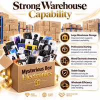 Paquet Mystère Premium : Téléphones, Tablettes, Montres, Écouteurs, Accessoires – Stock en Gros pour Importateurs et Acheteurs du Marché d'Exportation