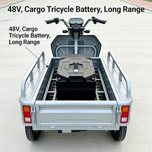 Batterie 48V 30Ah résistante aux basses températures pour scooters électriques - Product Image 1