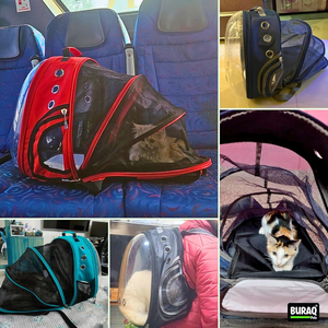 Portable Expandable Cat Travel Bag Foldable Pet <b>Carrier</b> <b>Backpack</b> Style <b>Carrier</b> with Extra Space Breathable Mesh Panels - Product Image 6