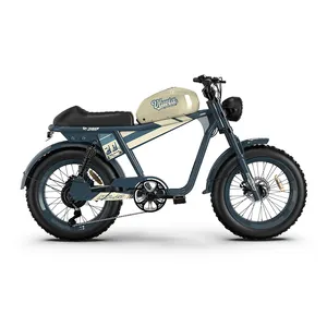 Magazzino USA 500w 750w 48v pneumatico grasso a sospensione completa veloce elettrico Mountain Dirt Bike da città bicicletta da moto