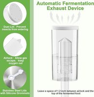 Kit complet de fermentation en verre écologique 32 oz, 2 pots à airlock industriels, poids en acier inoxydable pour choucroute, kimchi, cornichons
